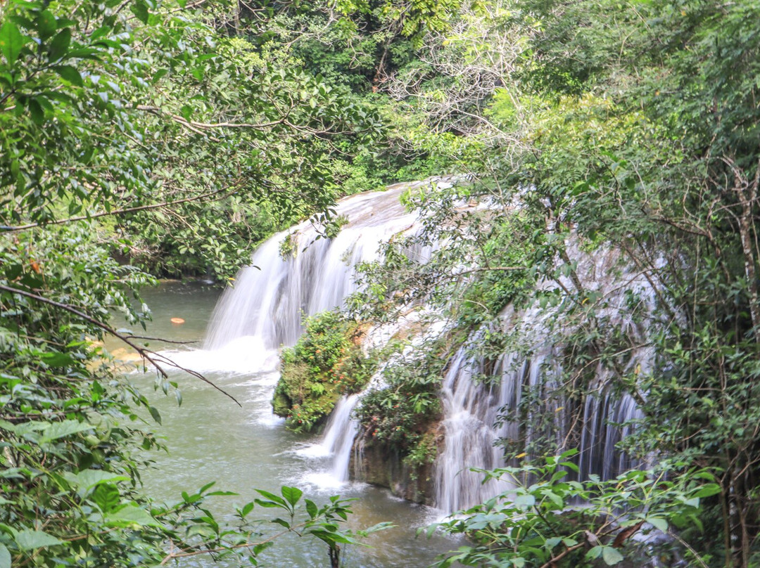 Estancia Mimosa Ecoturismo-博尼图必去景点
