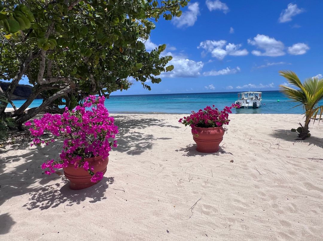 Dive Grenada-Grand Anse必去景点