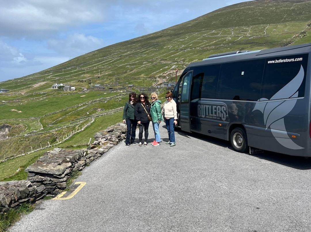 Butlers Private Driver Tours-科克必去景点