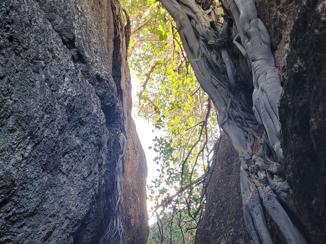 Red Dirt Tours-Winton必去景点