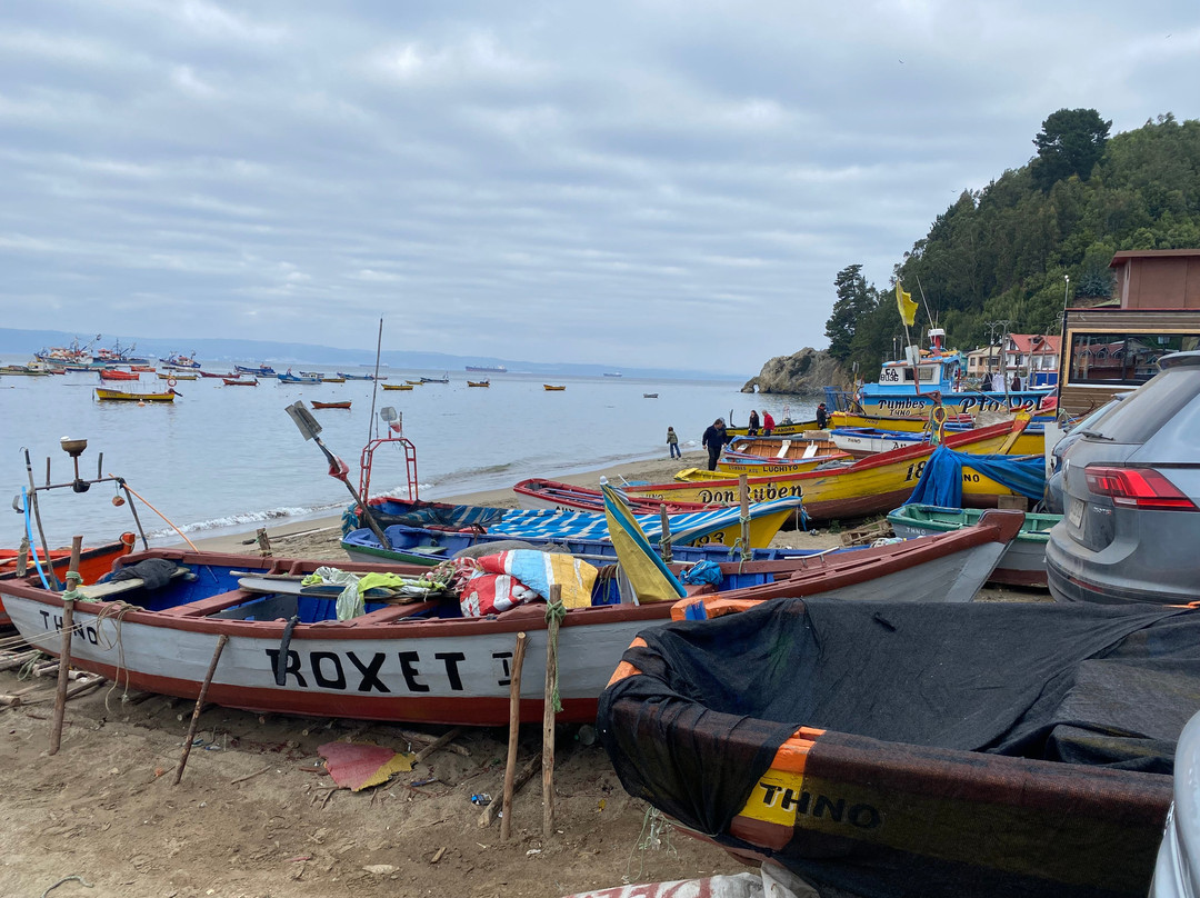 Caleta Tumbes-Talcahuano必去景点