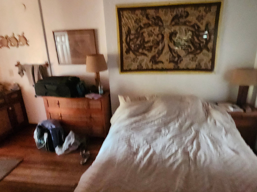 Bamboo Inn on Hana Bay主图