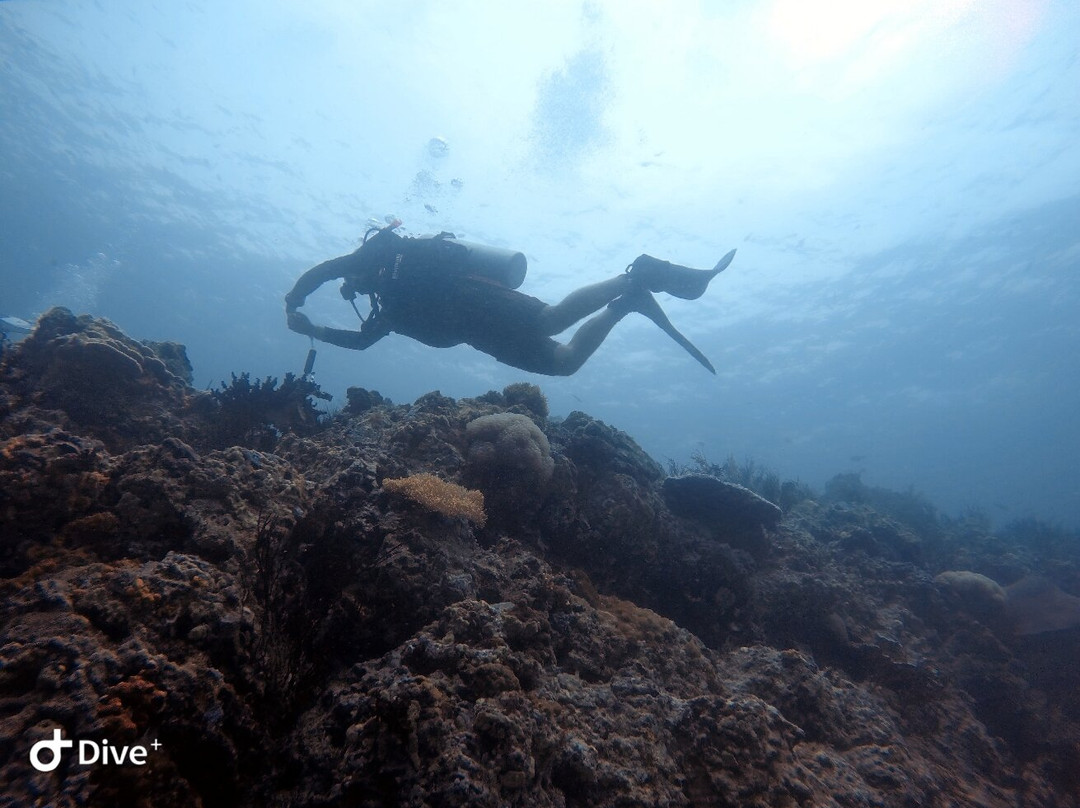 Satun Dive-丽贝岛必去景点
