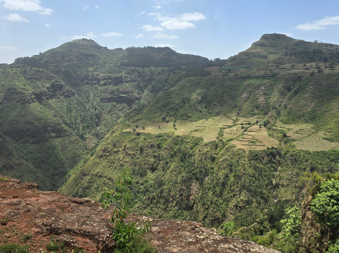 Liyu Ethiopia Tours-亚的斯亚贝巴必去景点