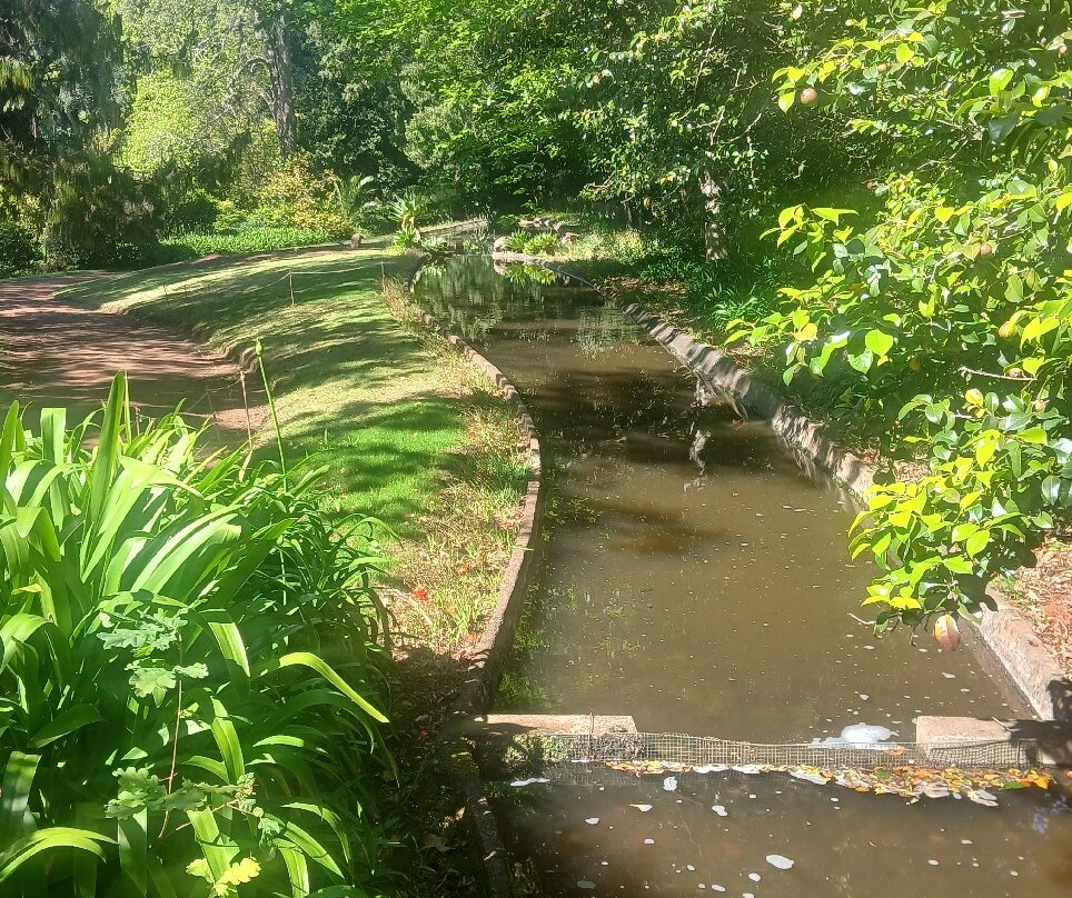 Palheiro Gardens-沙尔必去景点