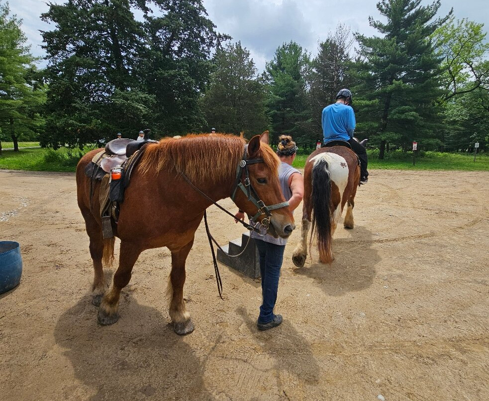 Hickory Hollow Horse Farm-葛底斯堡必去景点