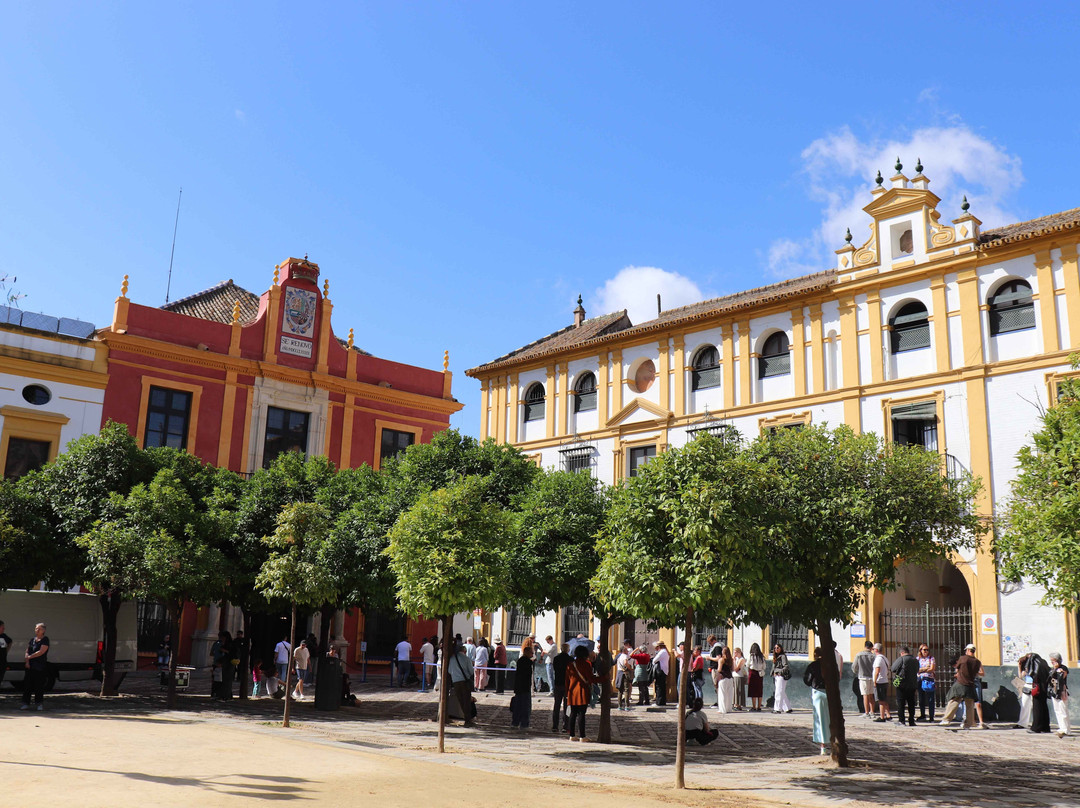 Plaza del Triunfo-塞维利亚必去景点