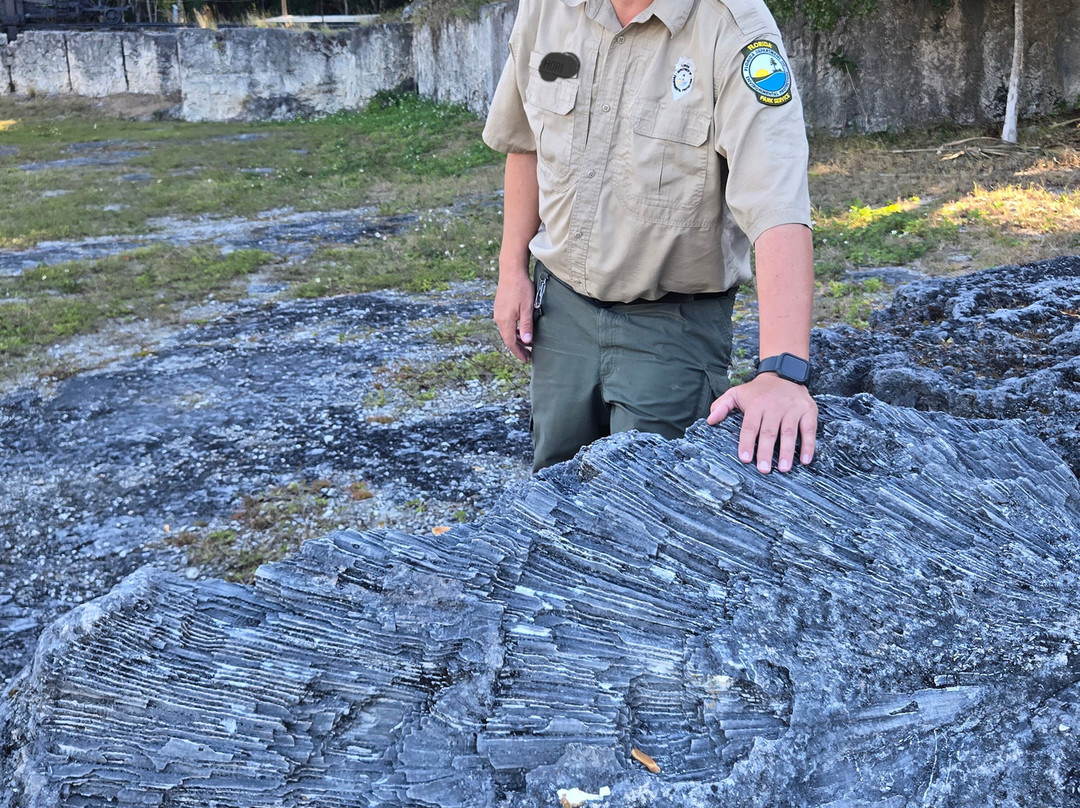 Windley Key Fossil Reef Geological State Park-伊斯拉摩拉达必去景点