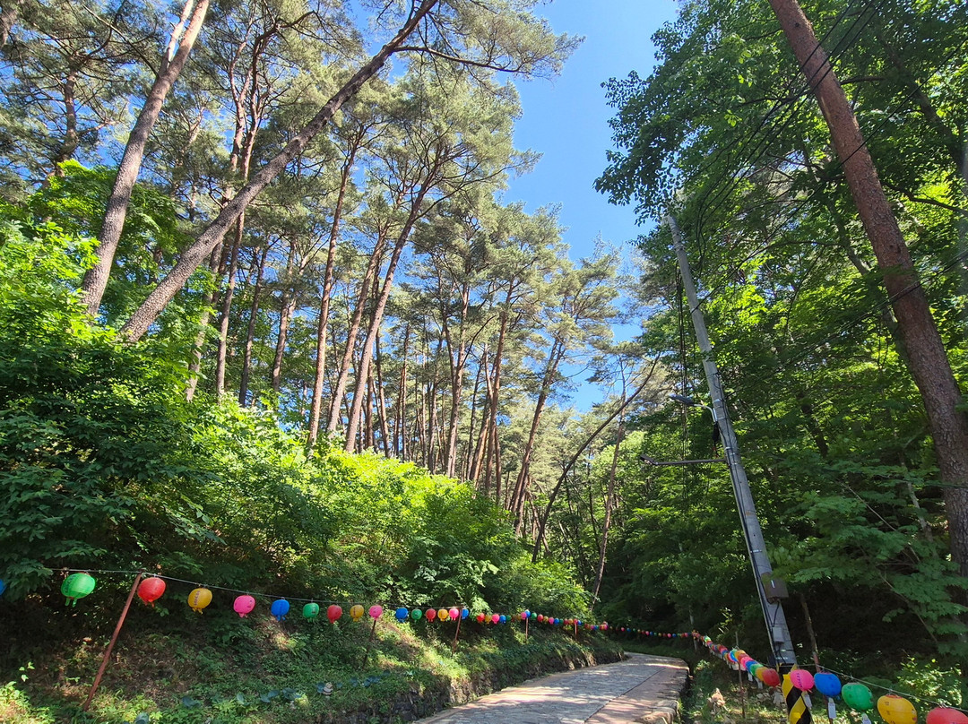 Bubheungsa Temple-宁越郡必去景点