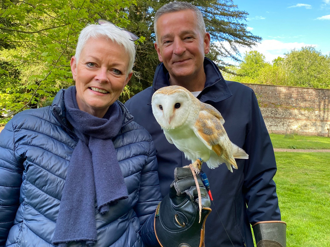 Hampshire Hawk Walks-Four Marks必去景点