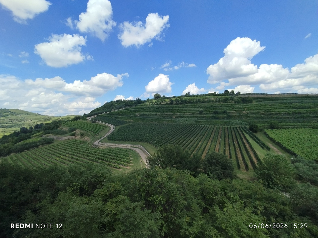 The Soave Castle-Soave必去景点