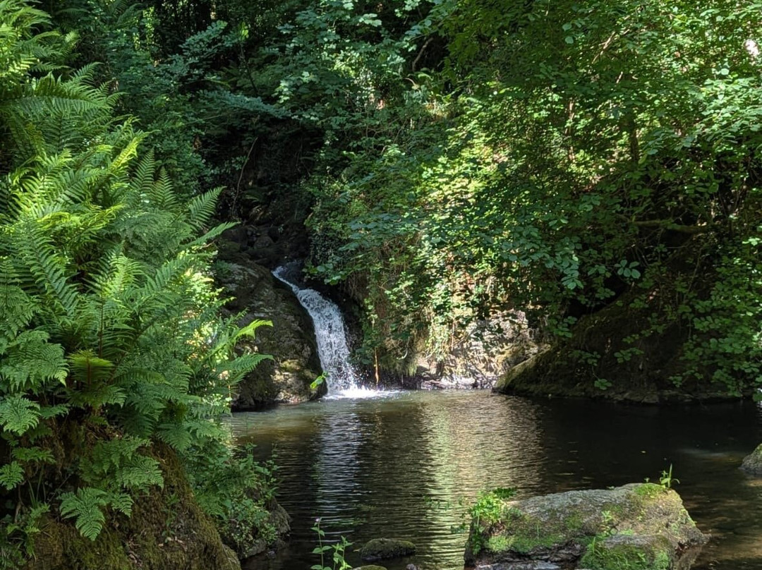 Plas Cadnant Hidden Gardens-Menai Bridge必去景点