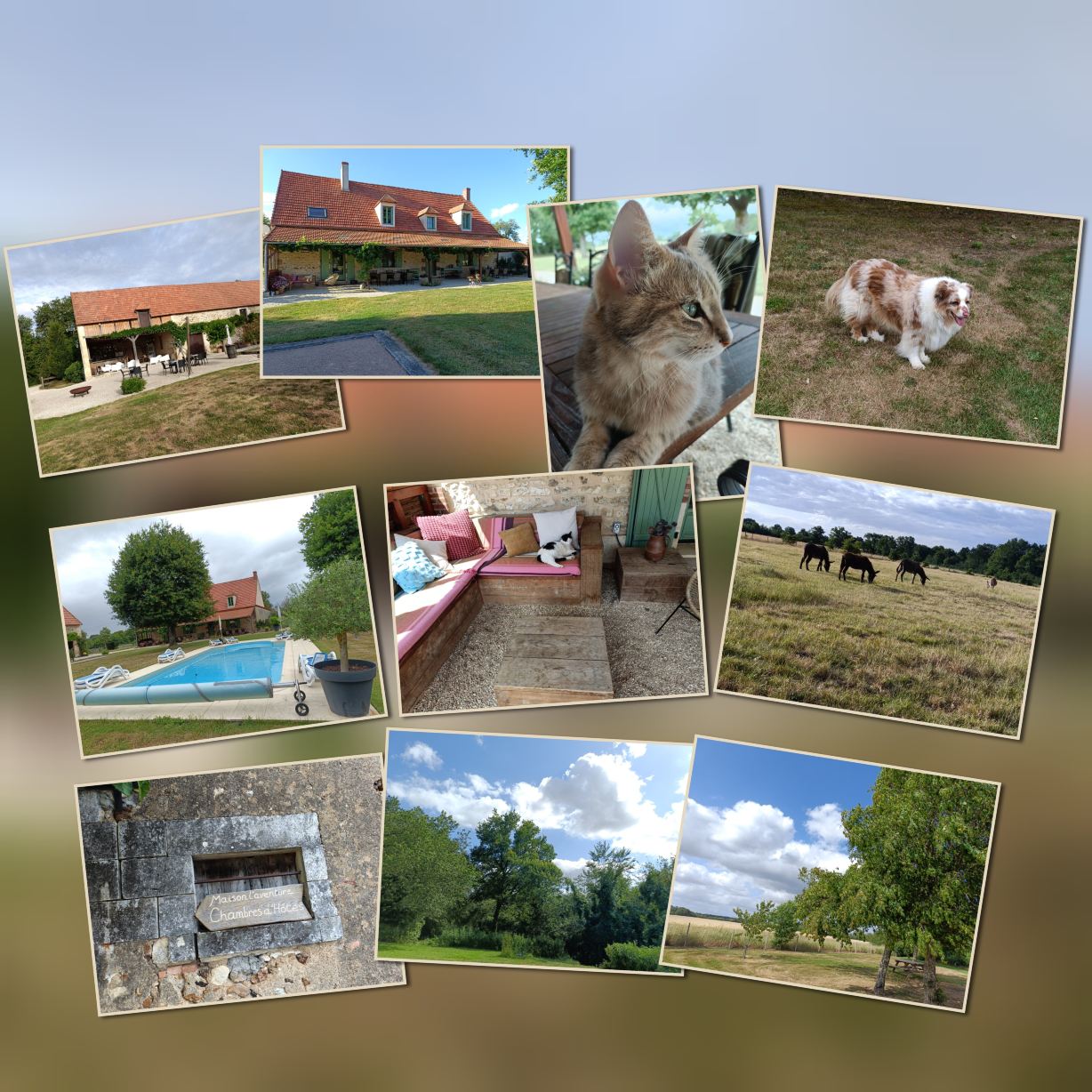 Maison l'Aventure-旅行者