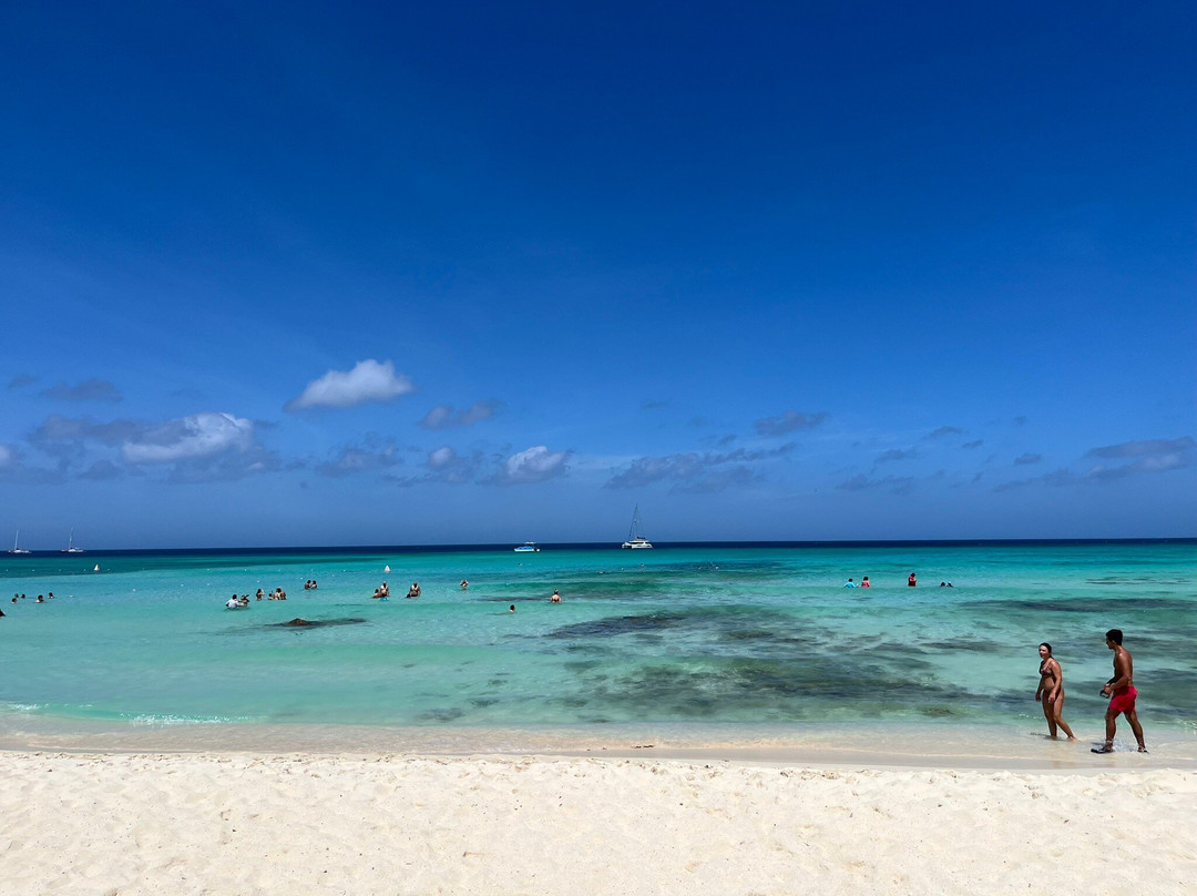 Arashi Beach-Arashi必去景点