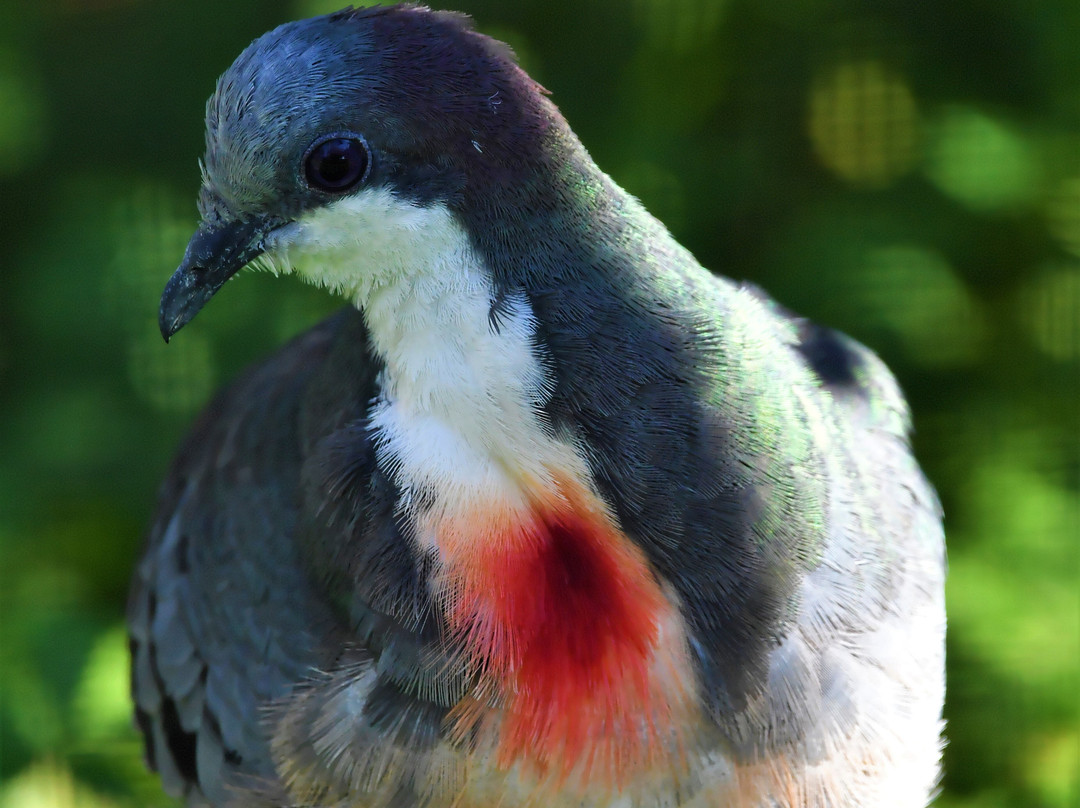 Zoo d'Upie Le Jardin Aux Oiseaux-Upie必去景点