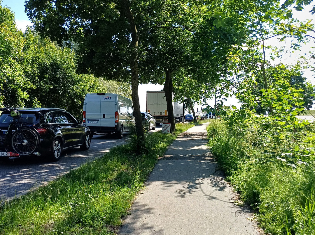 Elbfähre Glückstadt-Wischhafen-Glueckstadt必去景点
