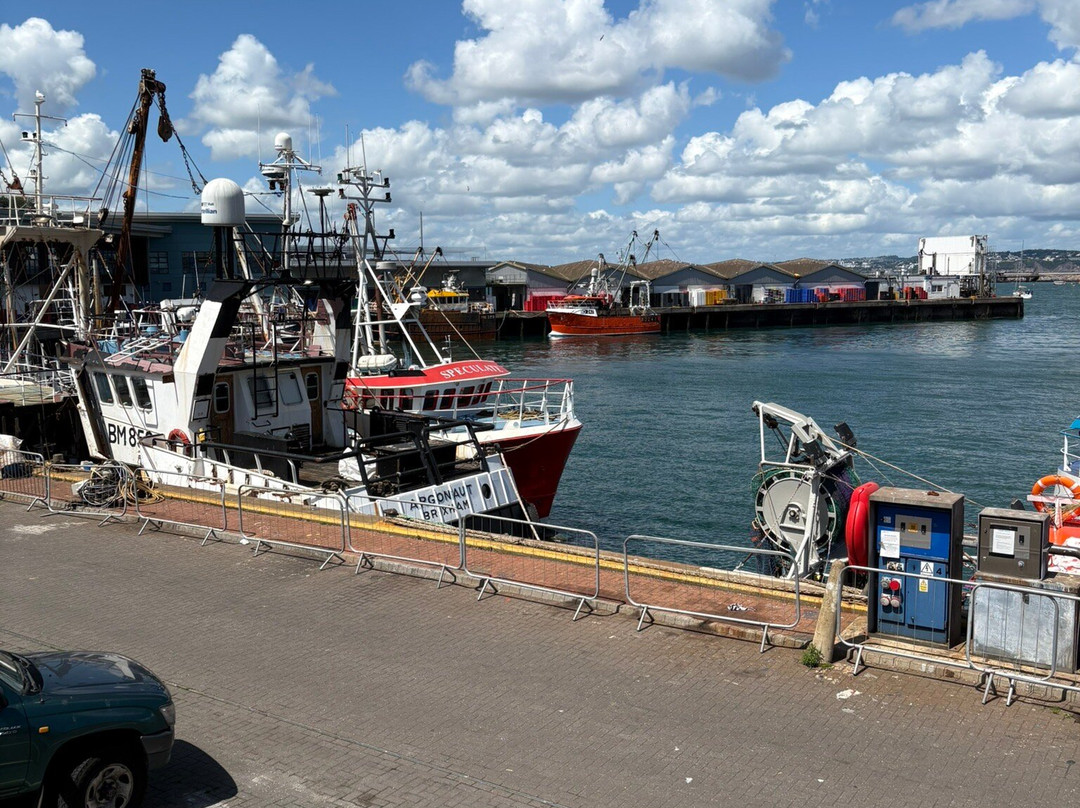 Brixham Harbour-布里克瑟姆必去景点