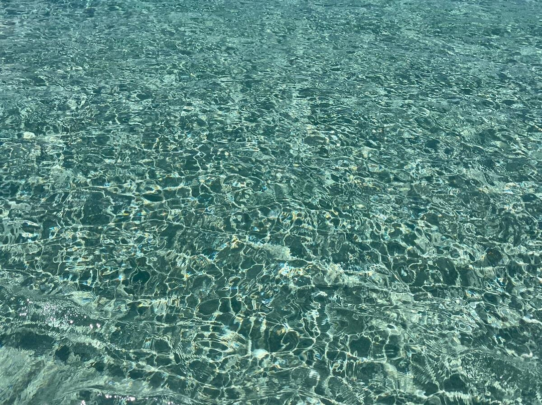 Amato Escursioni Nautiche di Daniele Amato-Asinara必去景点