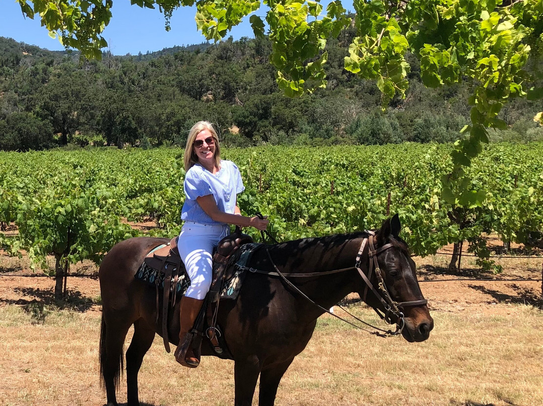 Sonoma Valley Trail Rides-索诺玛必去景点