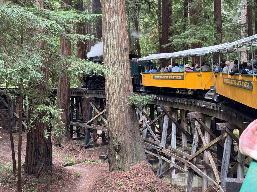 Roaring Camp Railroads-圣克鲁斯必去景点