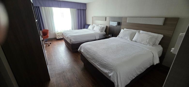 金斯顿智选假日套房酒店-旅行者