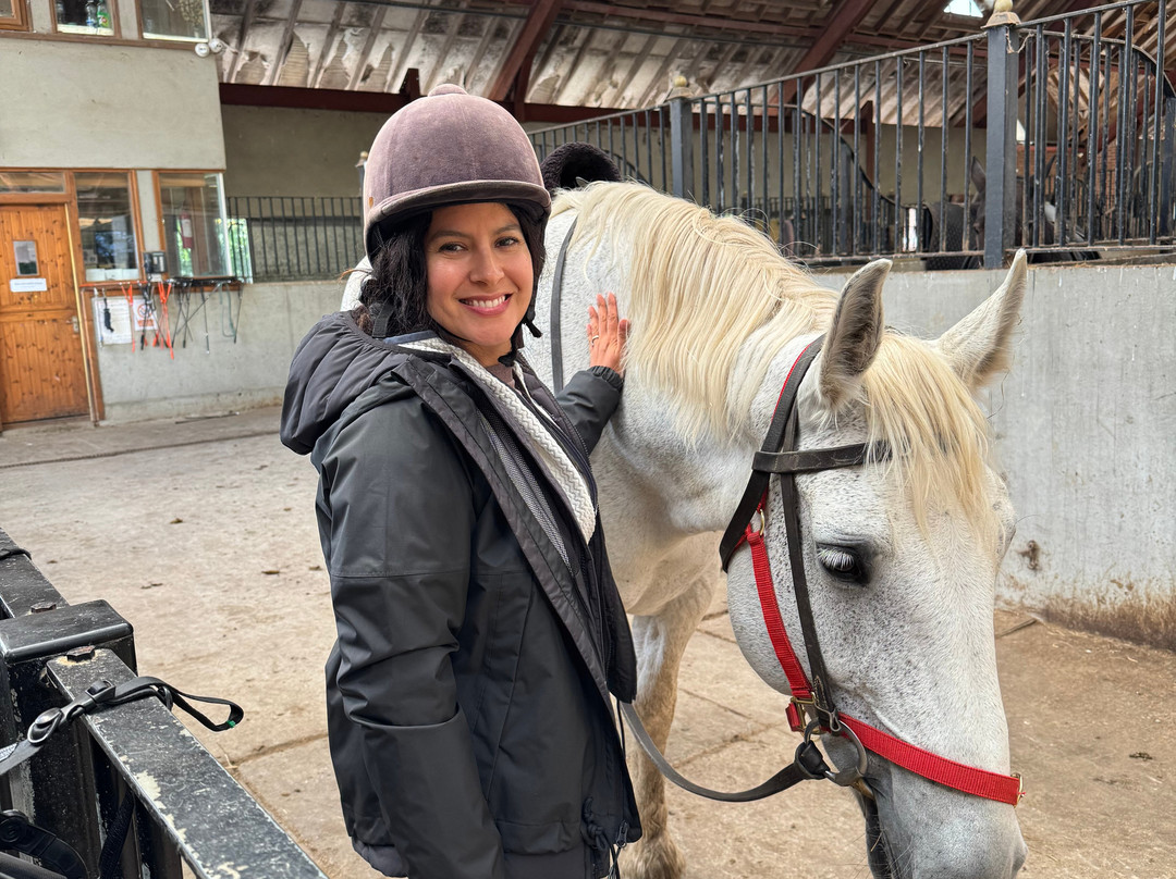 Killarney Riding Stables-基拉尼必去景点