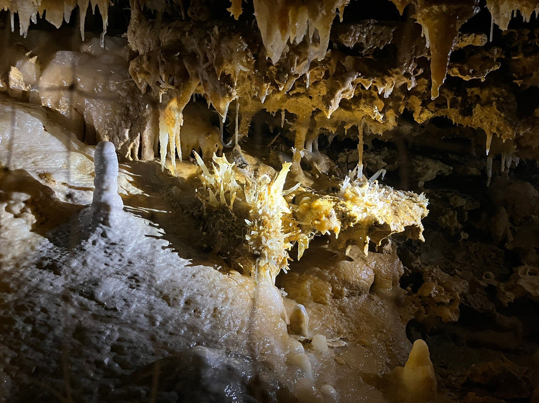 Grotte du Grand Roc-Les Eyzies-de-Tayac-Sireuil必去景点