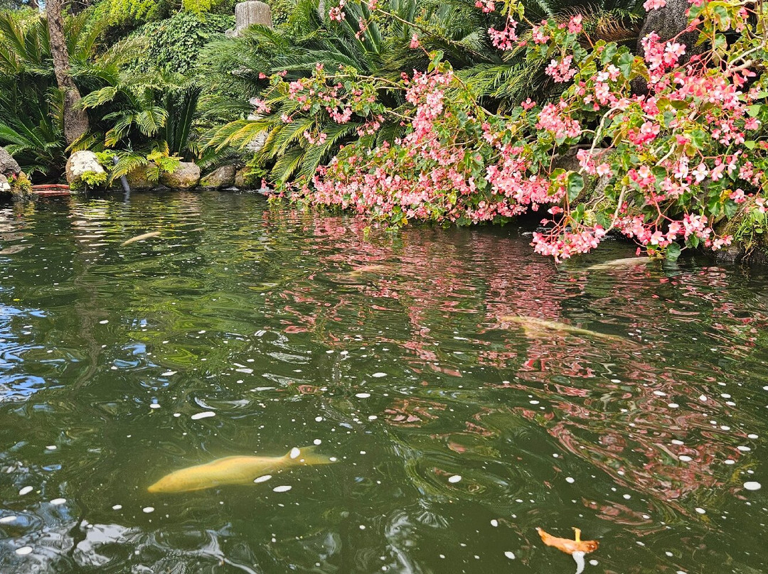 Monte Palace Madeira-沙尔必去景点