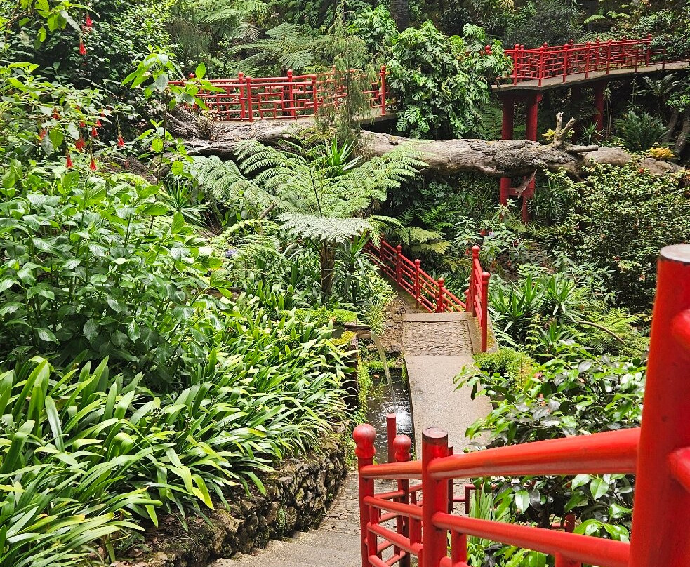 Monte Palace Madeira-沙尔必去景点