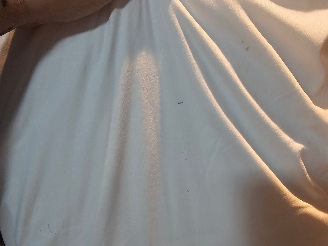 阿斯顿考特德比市中心贝尔维拉主图