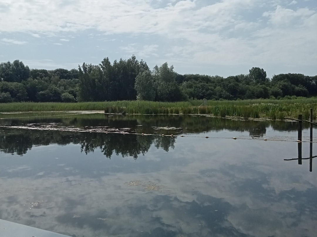 Brockholes Nature Reserve-普雷斯顿必去景点