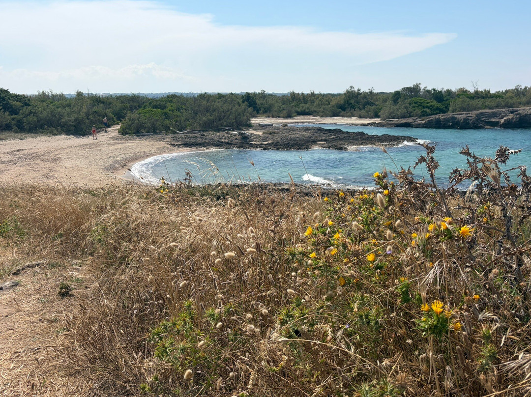 Area Marina Protetta Di Torre Guaceto-Carovigno必去景点