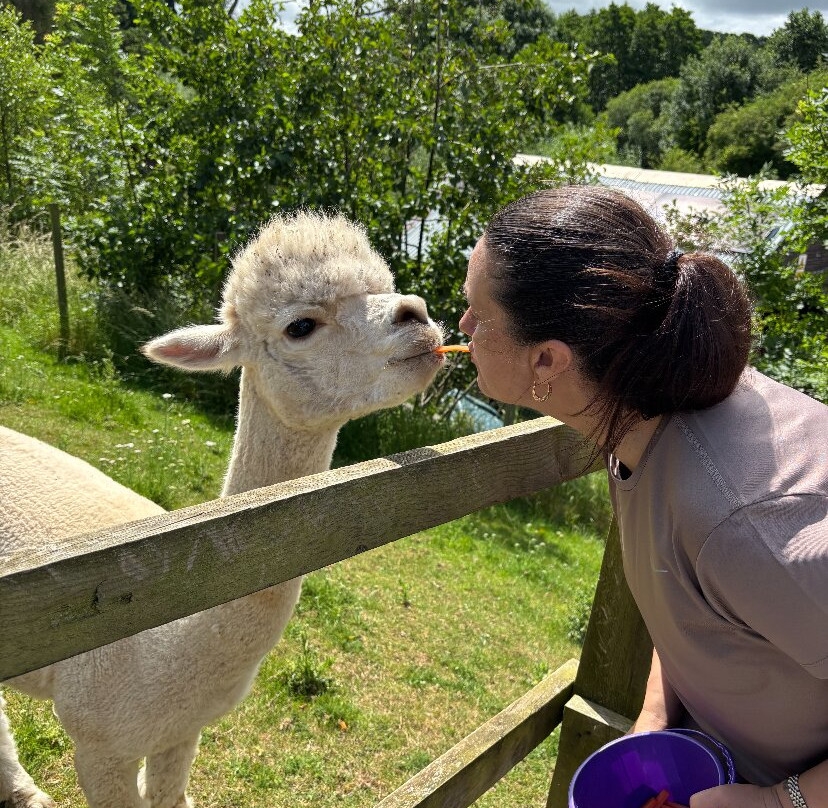 Alpaca Alpaca At Leven Valley-Yarm必去景点