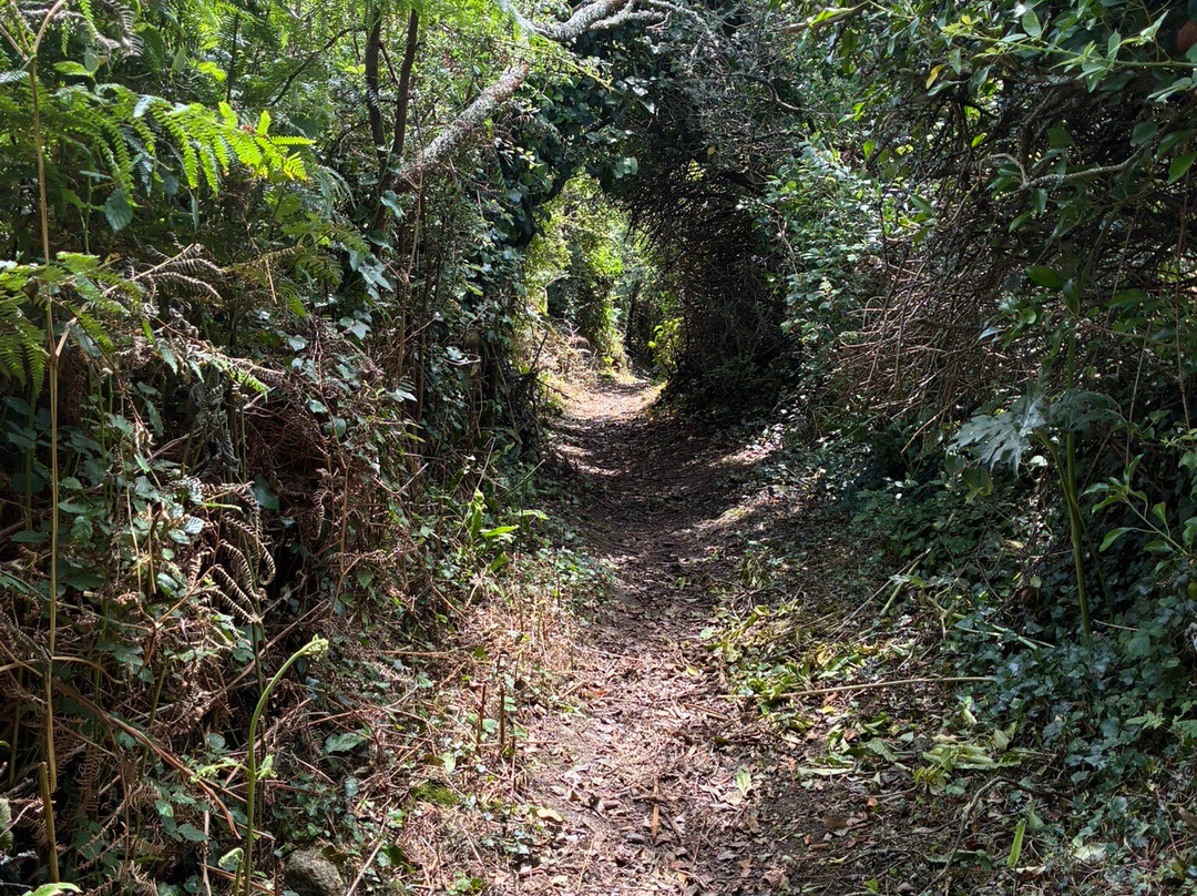 St Michael's Way-圣艾维斯必去景点