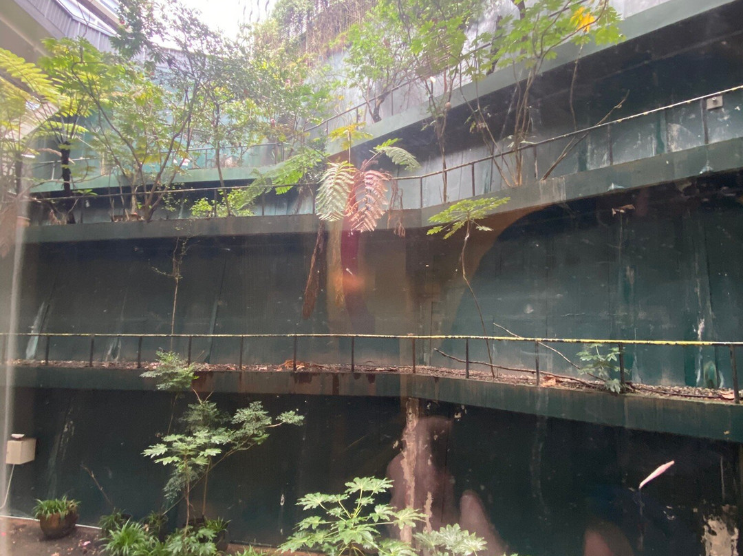 惠灵顿阿迪那城市生活酒店主图