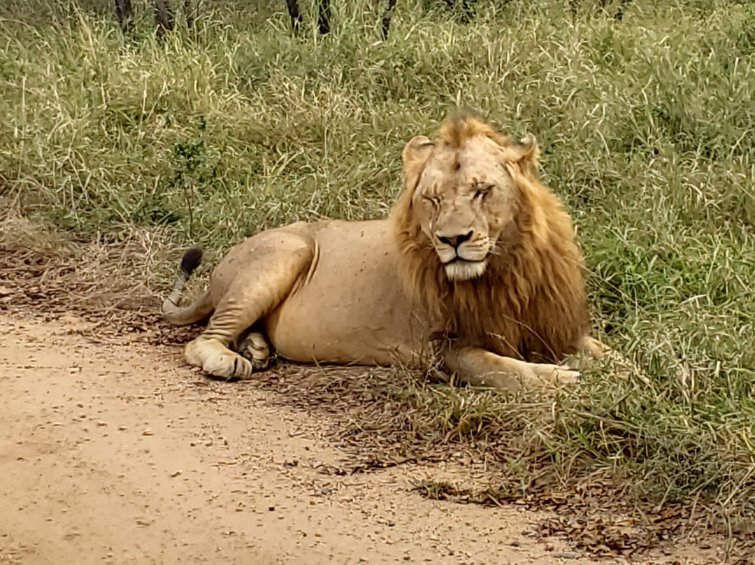 Kartula Marula Adventures-Steenbokpan必去景点