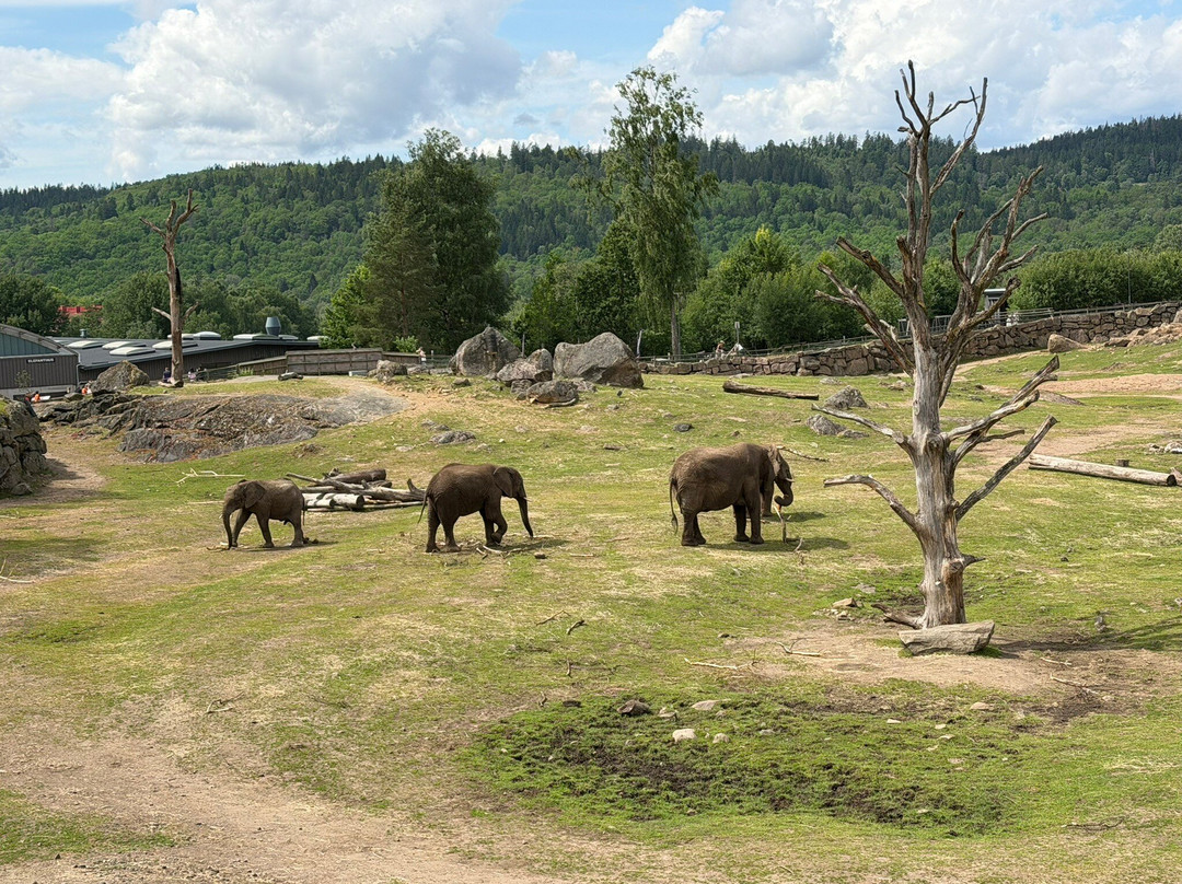Borås Djurpark-Boras必去景点