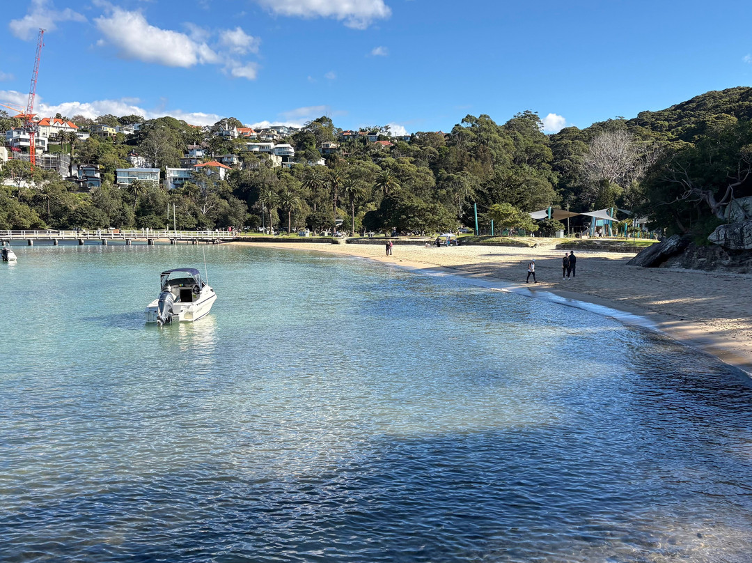 塔隆加动物园到曼利海滩漫步-悉尼必去景点