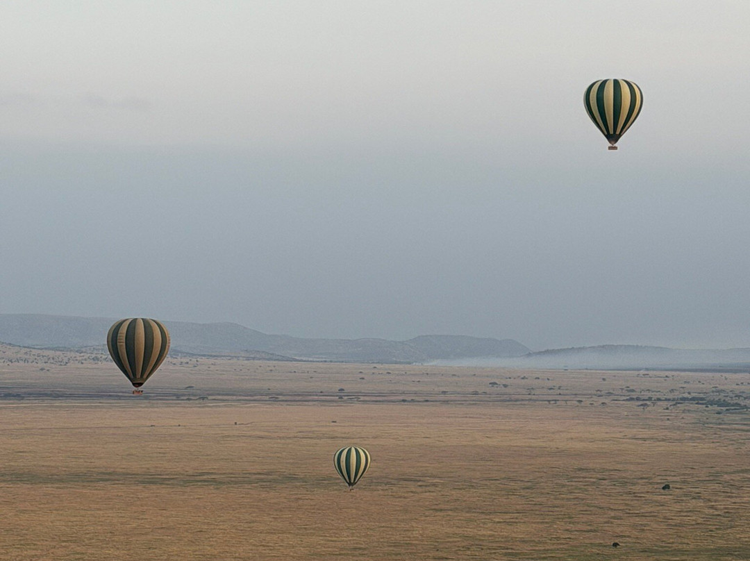 Serengeti Balloon Safaris-塞伦盖蒂国家公园必去景点