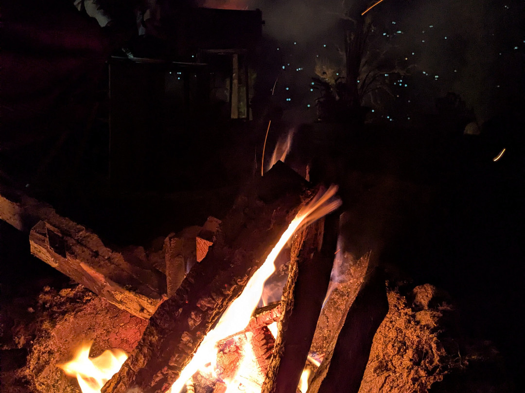 Yule Tea Retreat主图