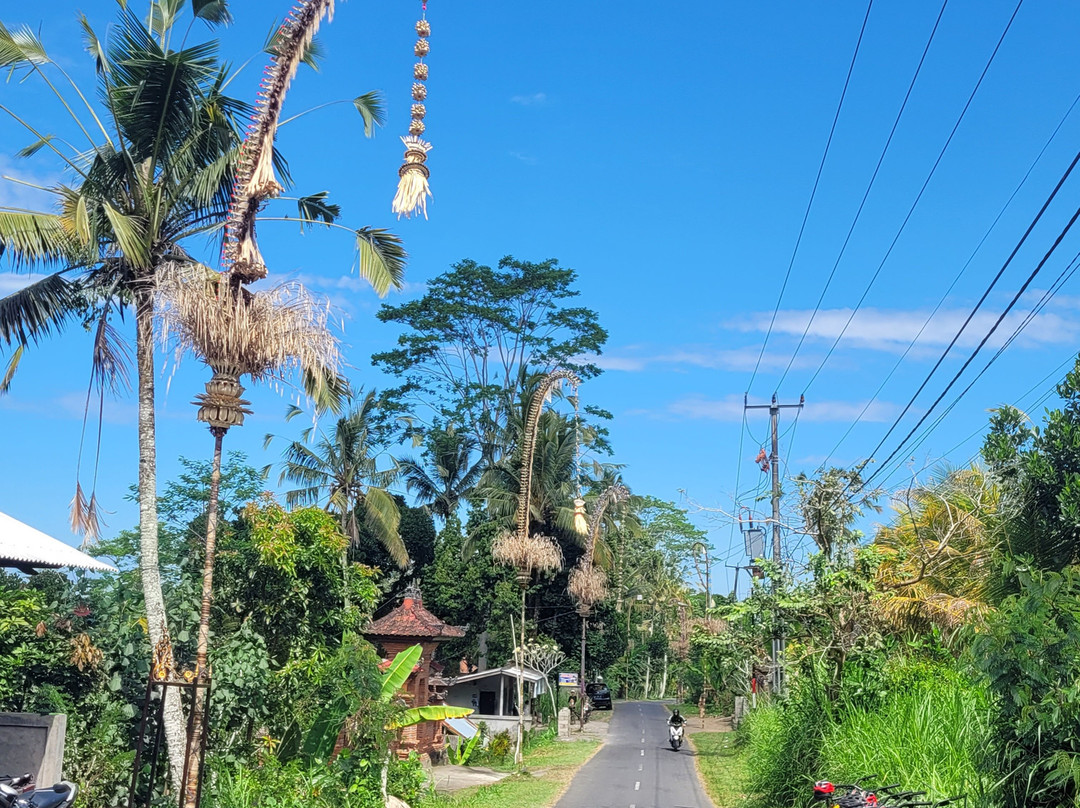 Bali Fun Bike Adventure-Pejeng Kaja必去景点