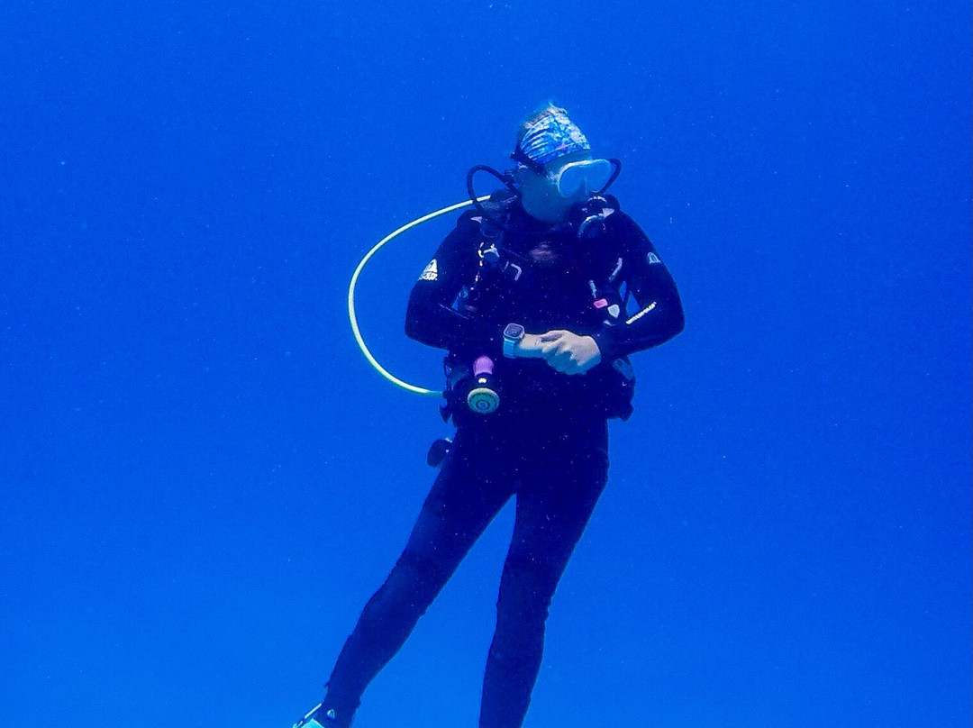 Dive Bermuda at Somerset-Sandys Parish必去景点
