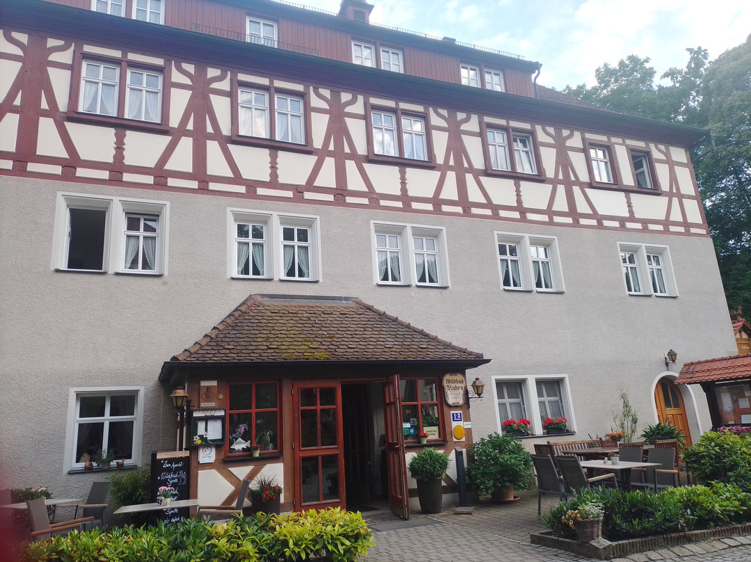 Oberdachstetten酒店住宿-Waldgasthof Wildbad