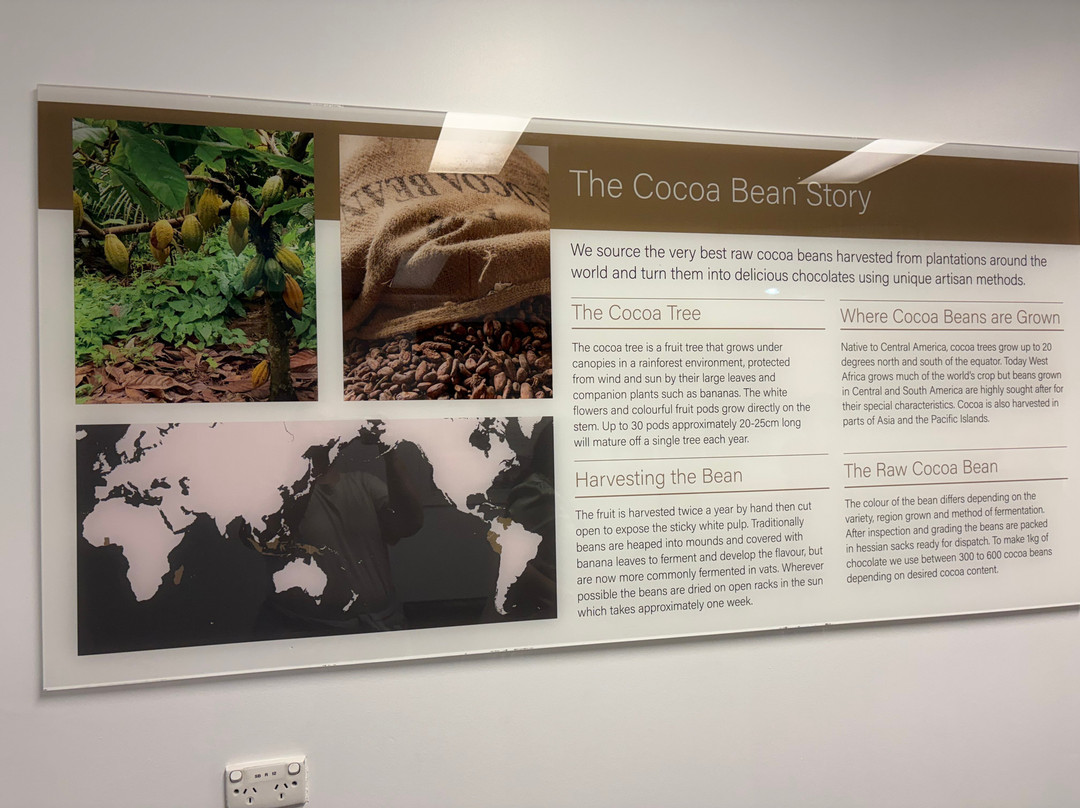 Haigh's Chocolates Visitor Centre-Parkside必去景点