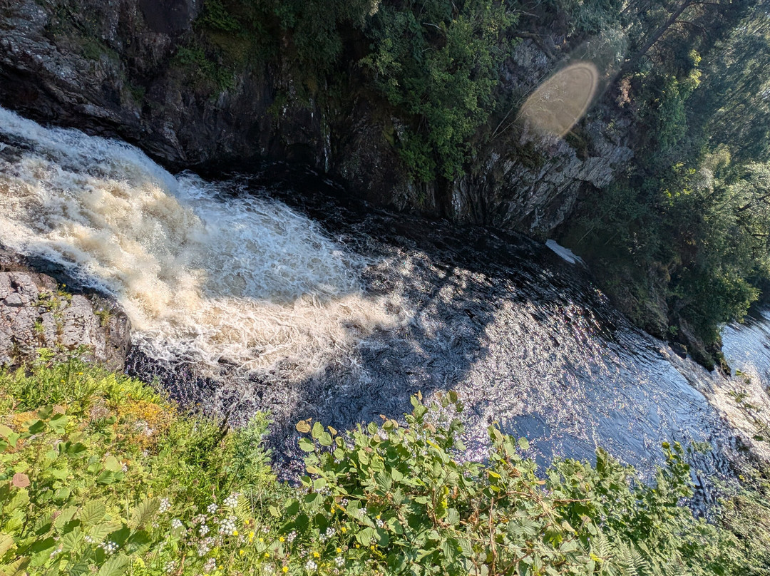 Scotland Taxi Tours-Invergordon必去景点