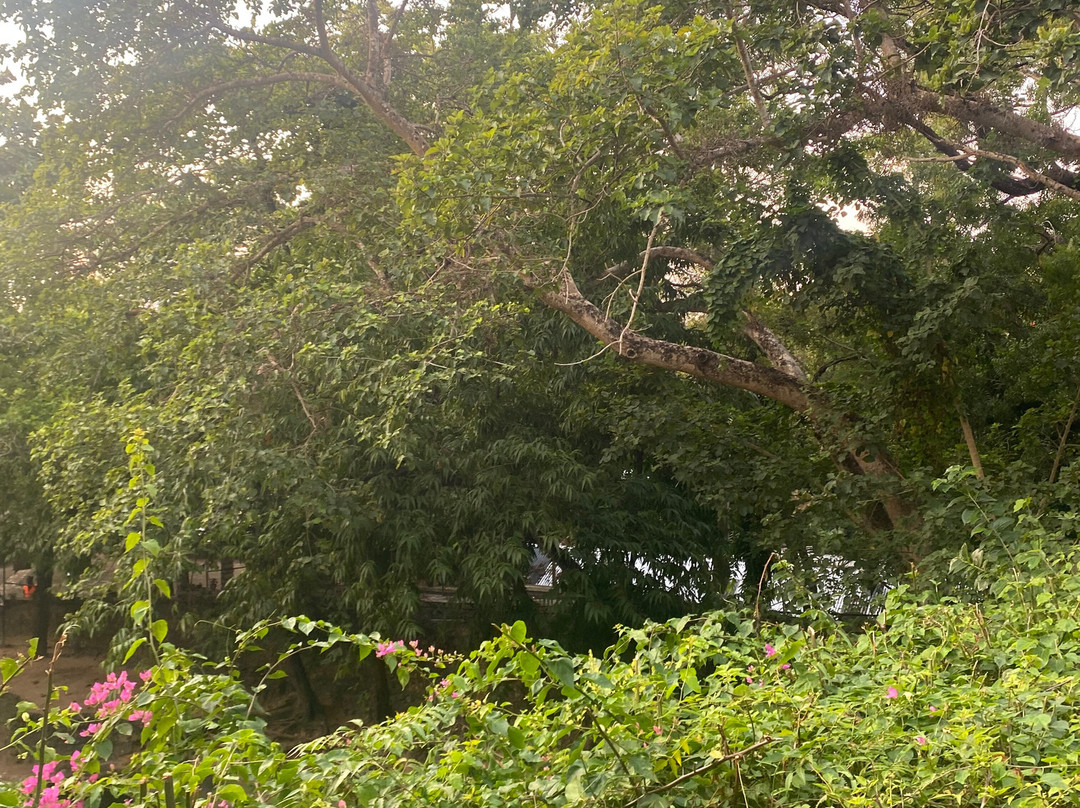 Mamba Village Centre-蒙巴萨必去景点