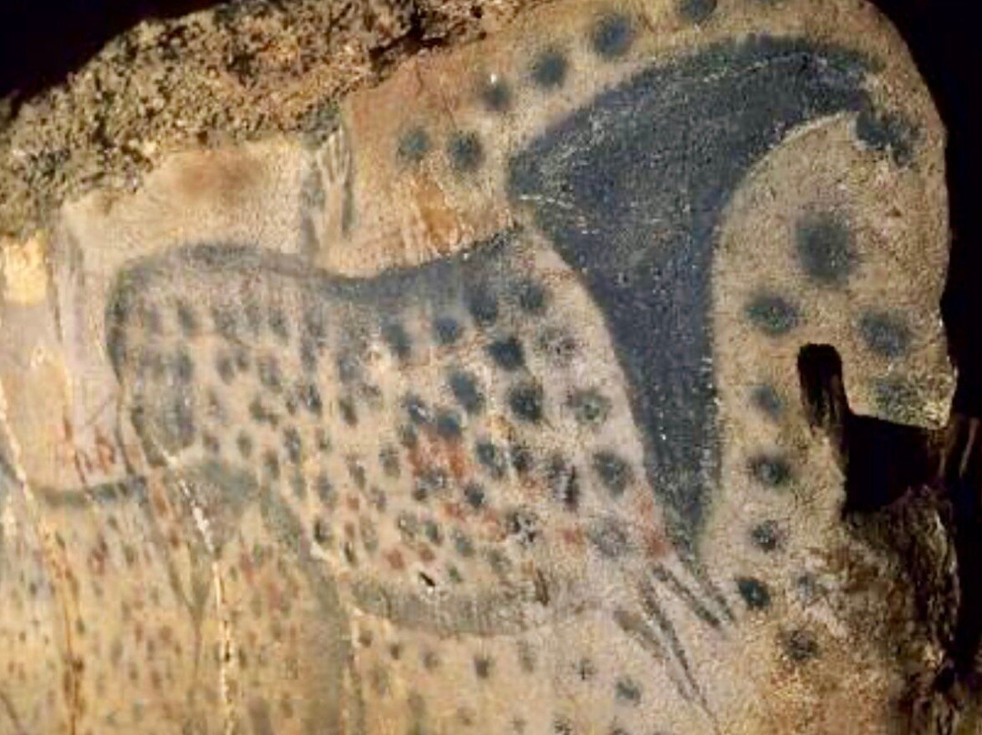 Grotte du Pech-Merle-Cabrerets必去景点