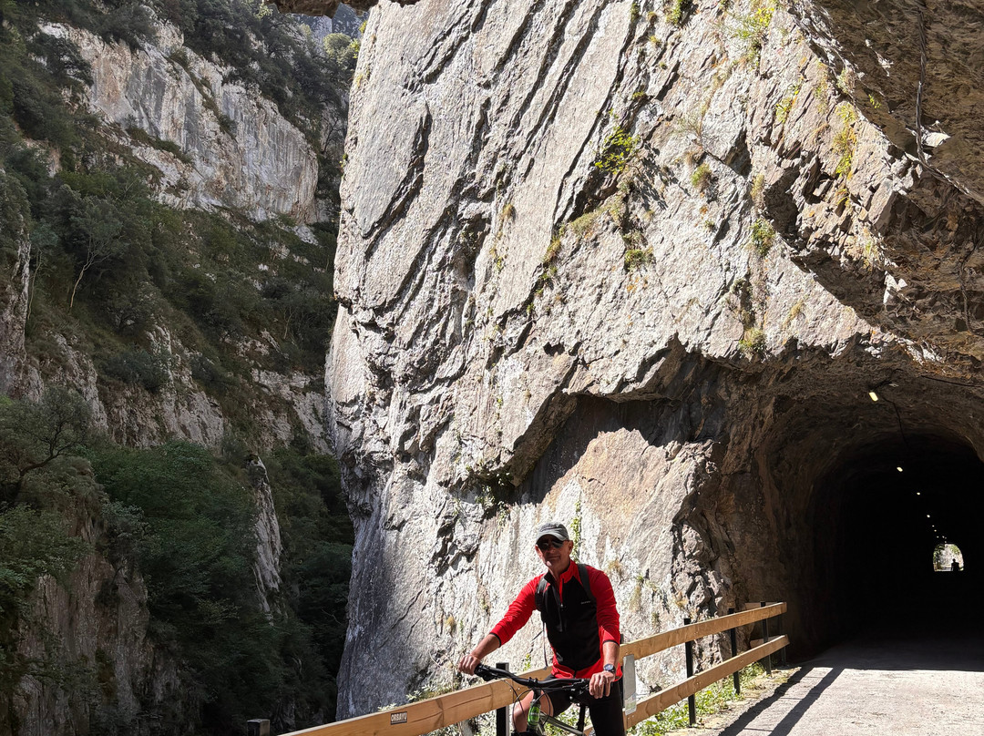 Senda Del Oso Experience - Teverastur-Teverga Municipality必去景点