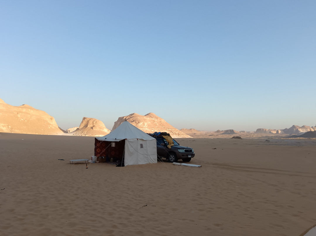 Jimmy Egypt Safari-Bawiti必去景点
