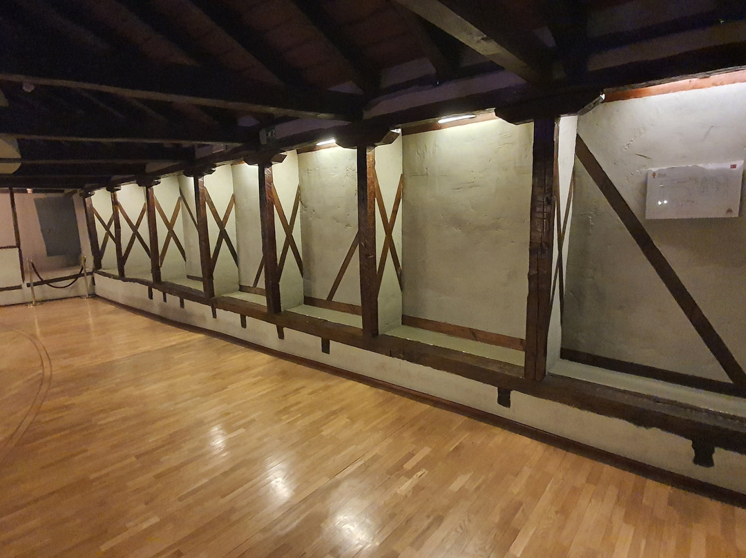 Teatro Corral de Comedias-阿尔卡拉-德-哈纳雷斯必去景点
